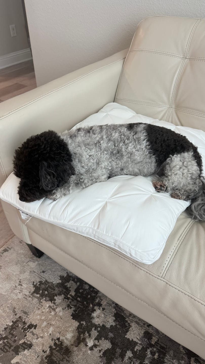 Customer photo review of Ploof Pillow