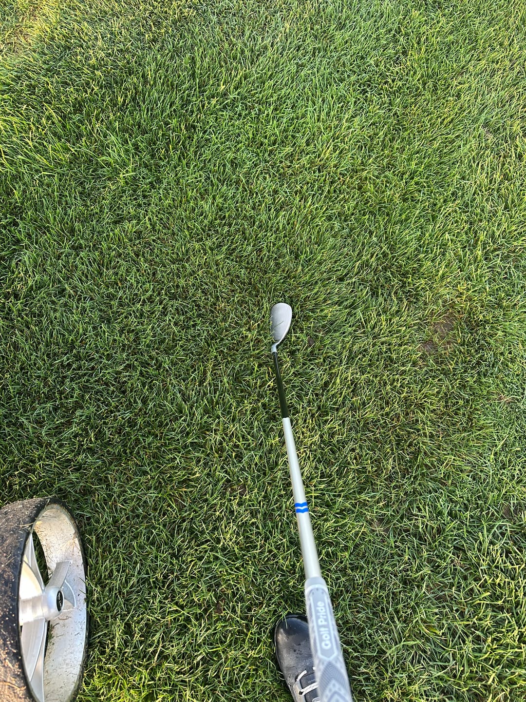 Customer photo review of Hot Launch Max D Ironwoods