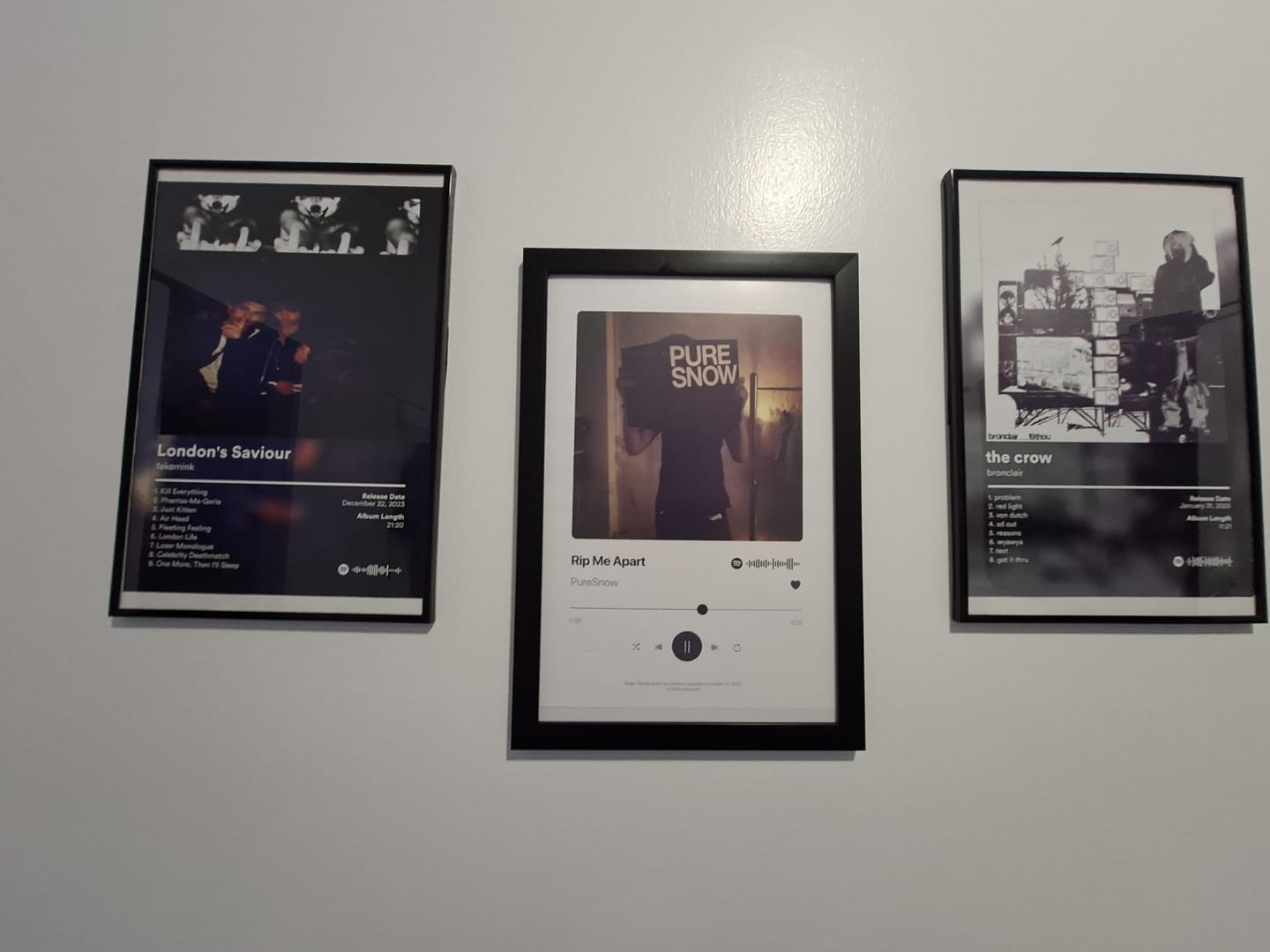 Customer photo review of fakemink Album Posters