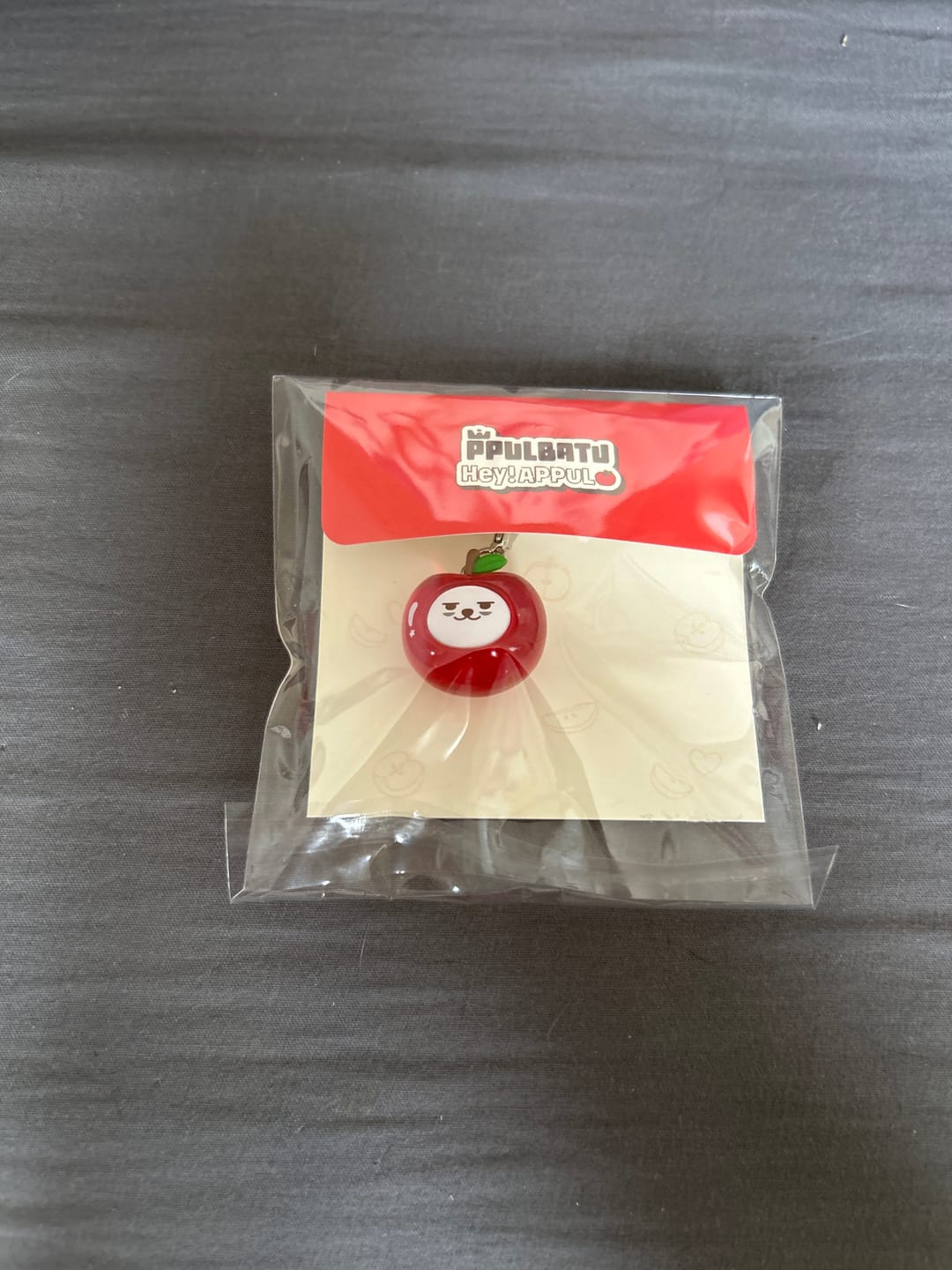 Customer photo review of TXT - PPULBATU HEY! APPUL OFFICIAL MD MINI KEYRING