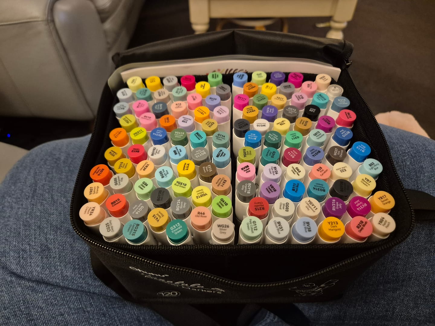 Customer photo review of Ohuhu Honolulu 120 Colors Dual Tips Alcohol Art Markers (New Color Codes)