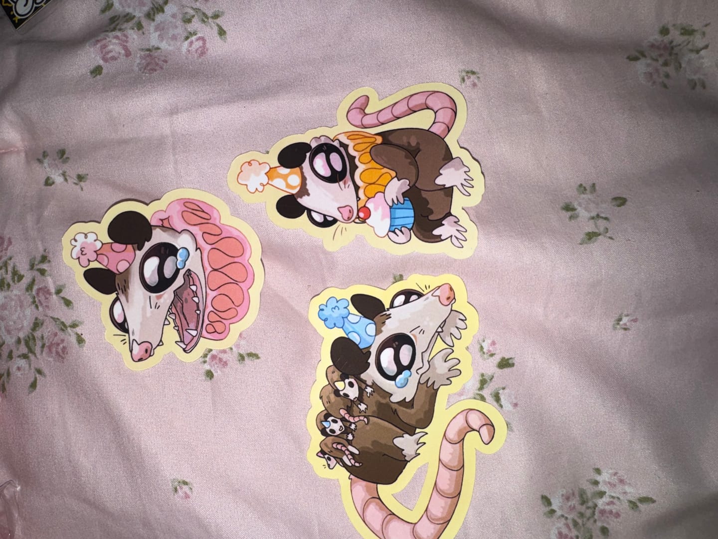 Customer photo review of Sad Party Opossum Stickers!