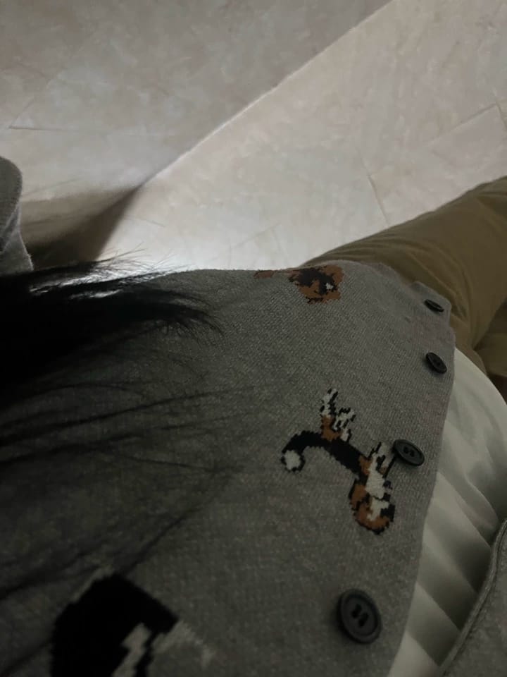 Customer photo review of APEA Puppy Jacquard Cropped Knit Cardigan