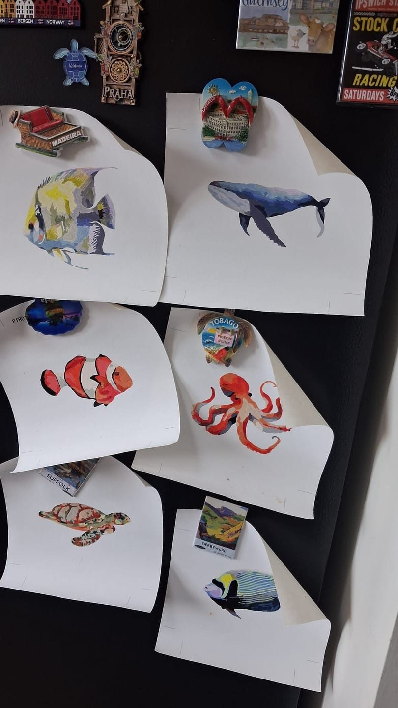 Customer photo review of 6 Mini Paintings - Fish Set