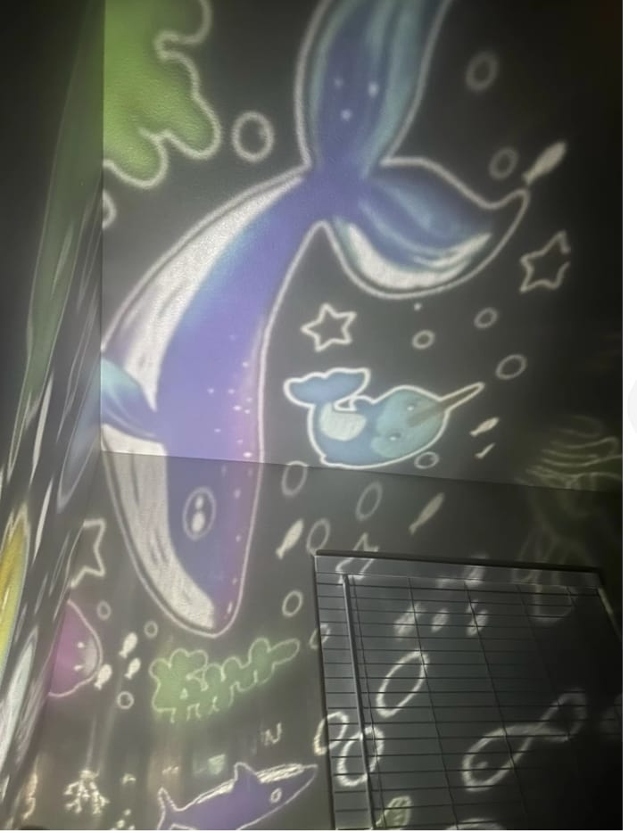 Customer photo review of Sol Rotating Star Projector Night Light | 360° Rotating LED Galaxy Lamp for Kids Bedroom