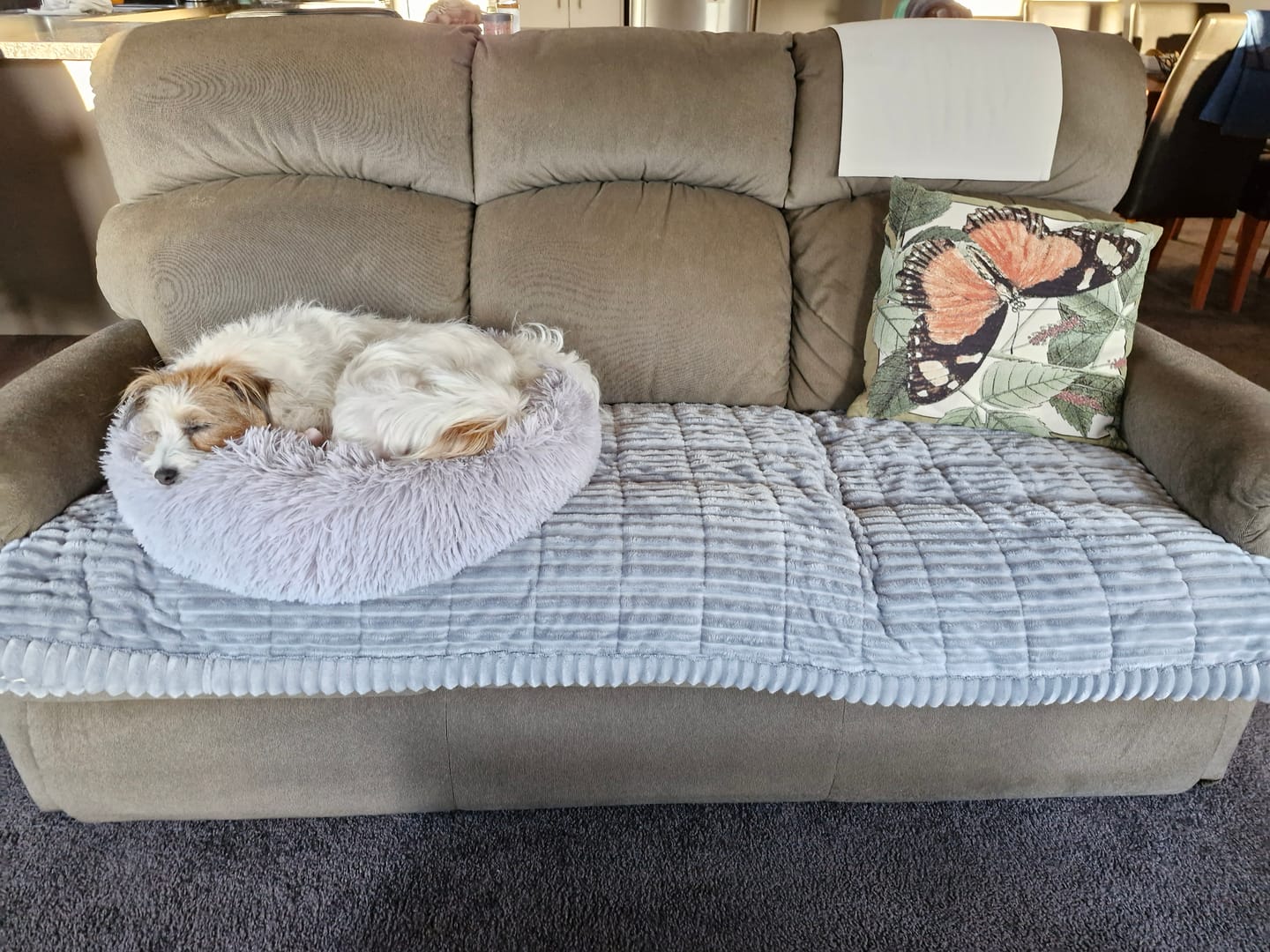 Customer photo review of Cosy Couch - Couch Cover