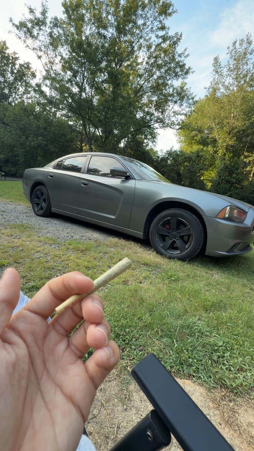 Customer photo review of Greenhouse THCa Flower