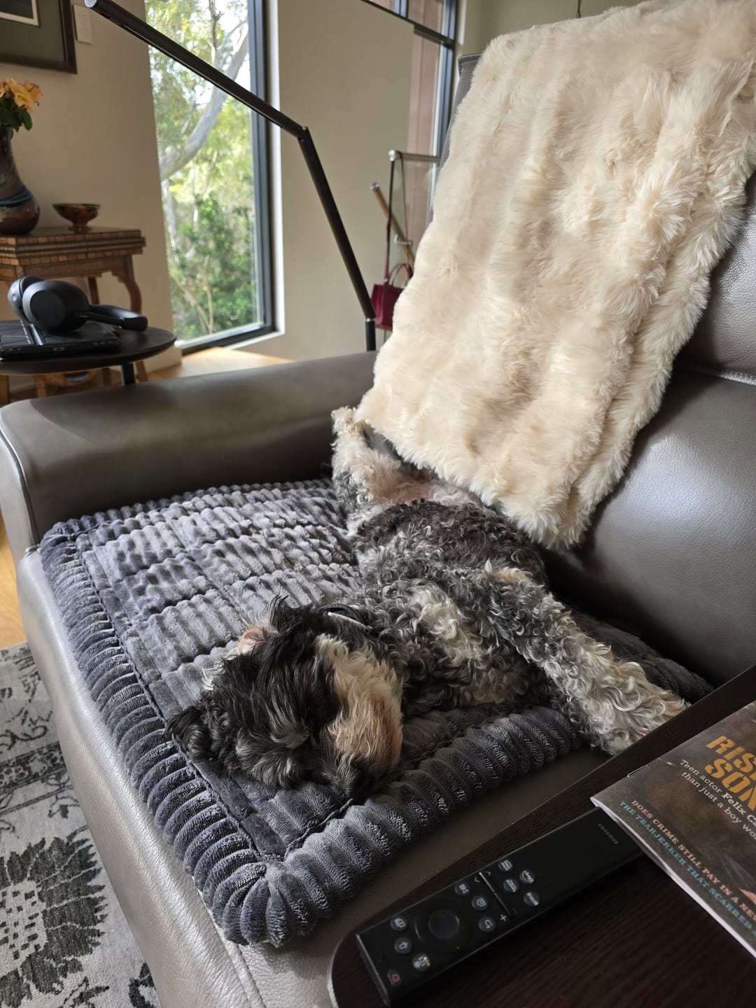 Customer photo review of Cosy Couch - Couch Cover
