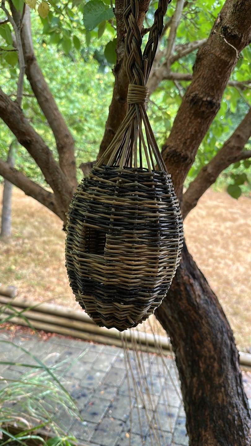 Customer photo review of The Bird Box - Course and Kit