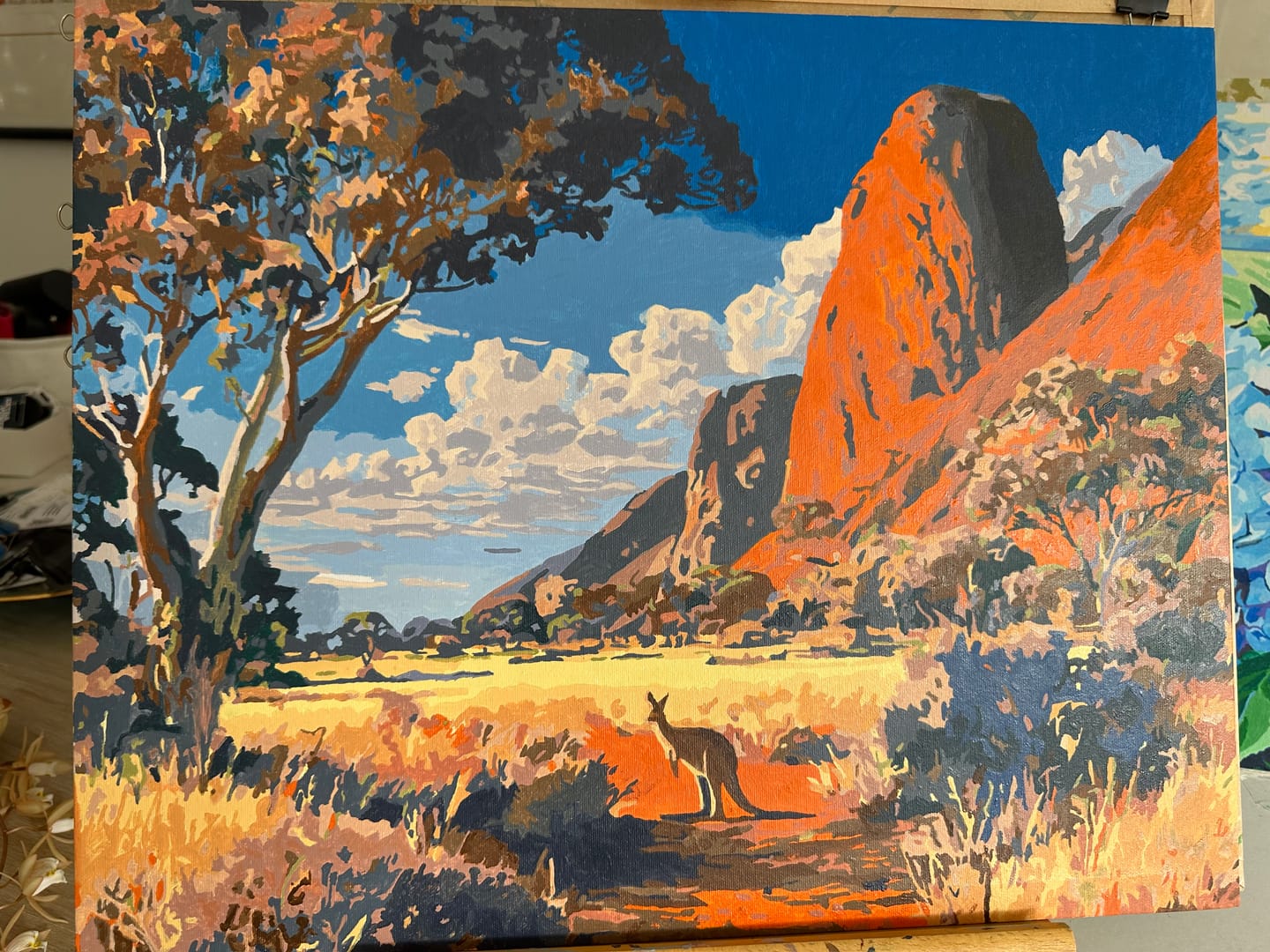 Customer photo review of Land Down Under