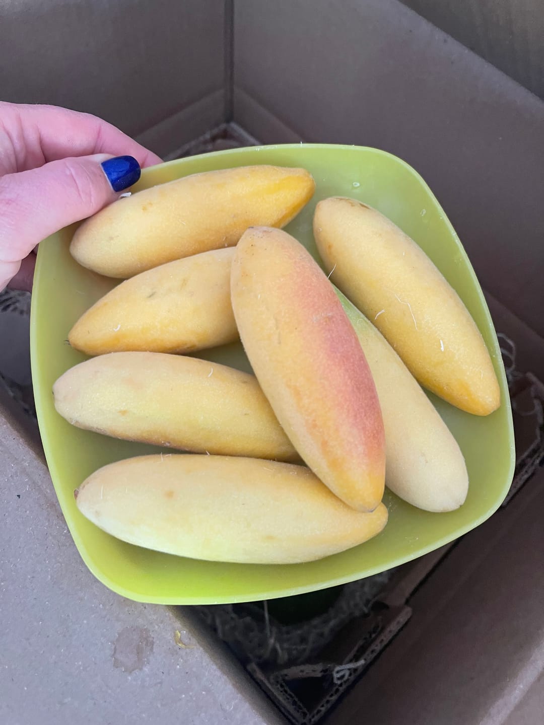 Customer photo review of Curuba (Bananen-Maracuja)