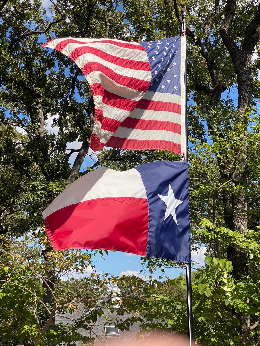 Customer photo review of 3' x 5' Texas Flag