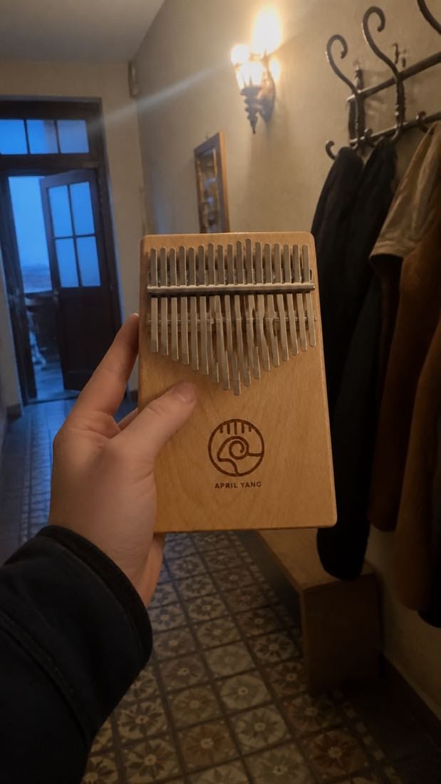 Customer photo review of Kalimba 17 Tasten - Buchenholz, Signature-Edition