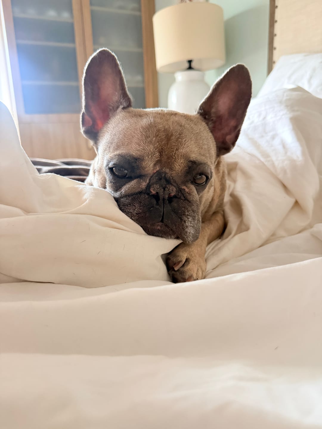 Customer photo review of Puff Pillow