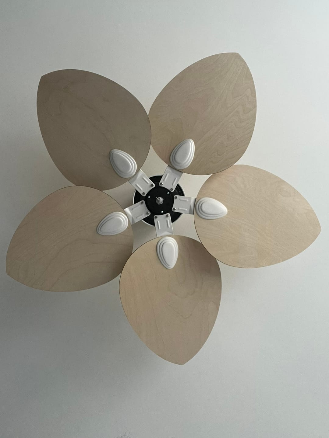Customer photo review of Dahlia | Ventilateur de plafond