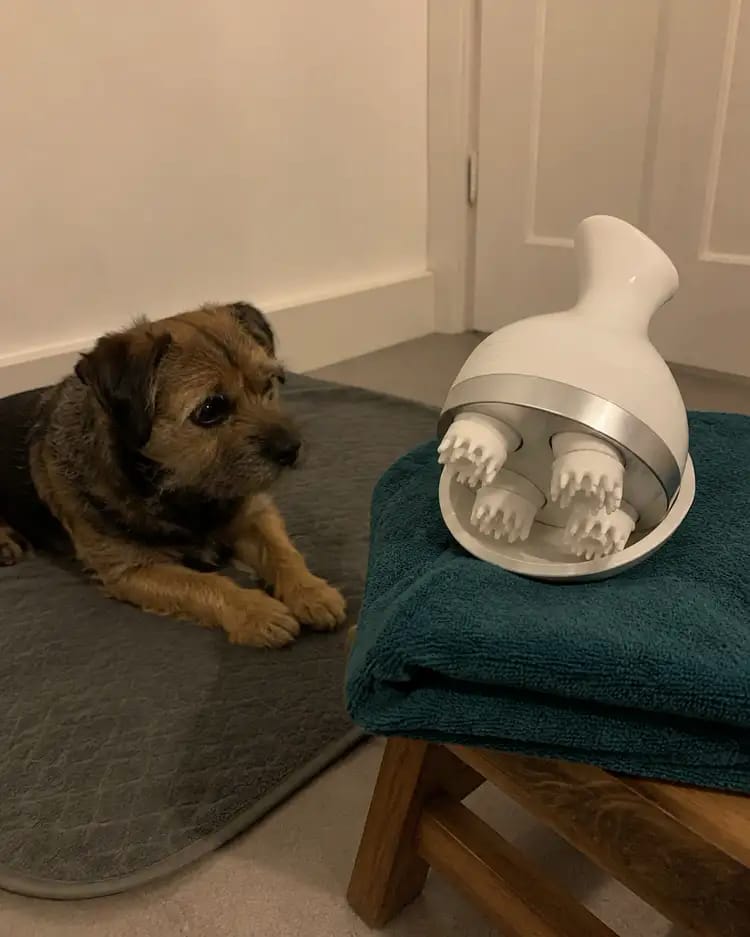Customer photo review of Viva PetZen Ergonomic Pet Massager
