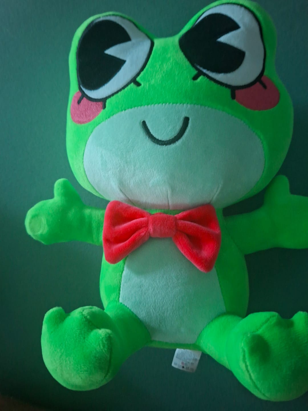 Customer photo review of Ribbit Plush
