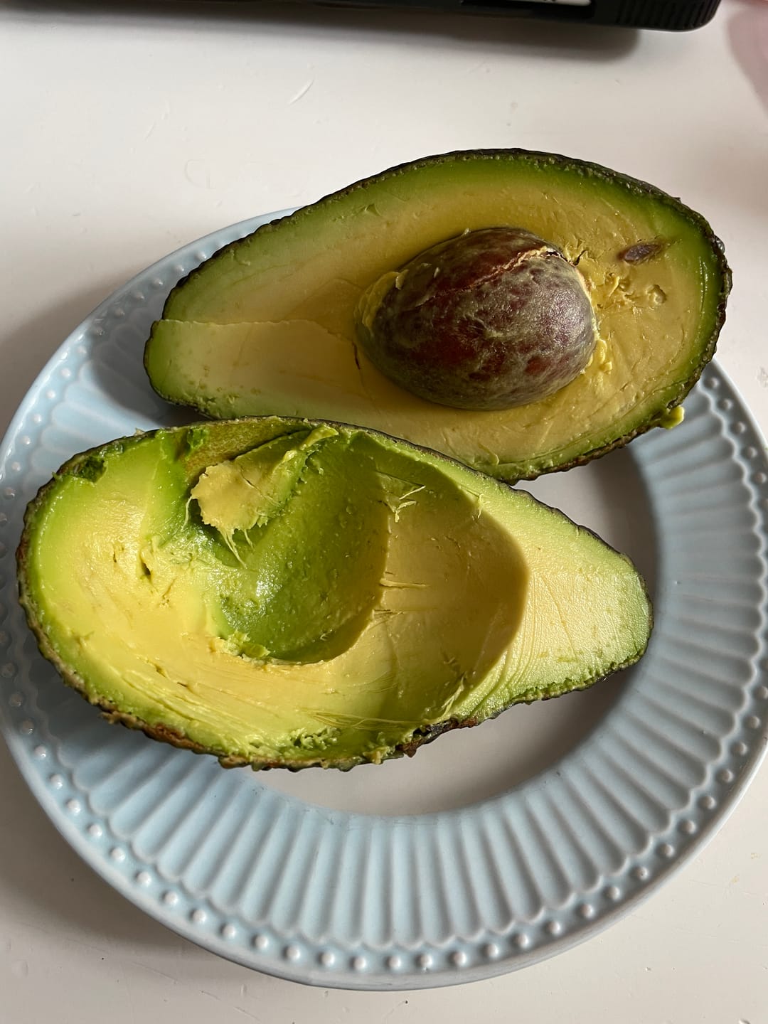 Customer photo review of Avocado Hass 15 Monate baumgereift von Julian