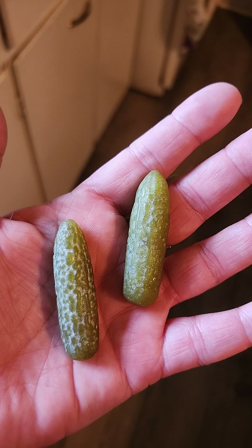 Customer photo review of Serpentine Pickle