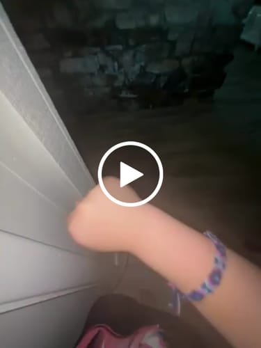 Customer video review of FREE Prowl Bracelet