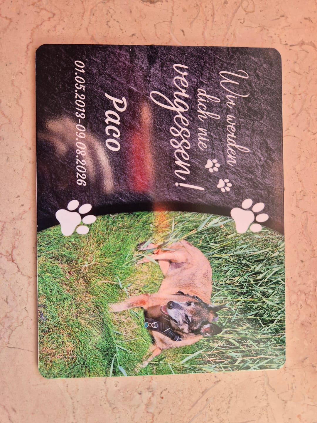 Customer photo review of Hunde Gedenktafel mit Foto & Spruch (UV- &  Wetterfest)