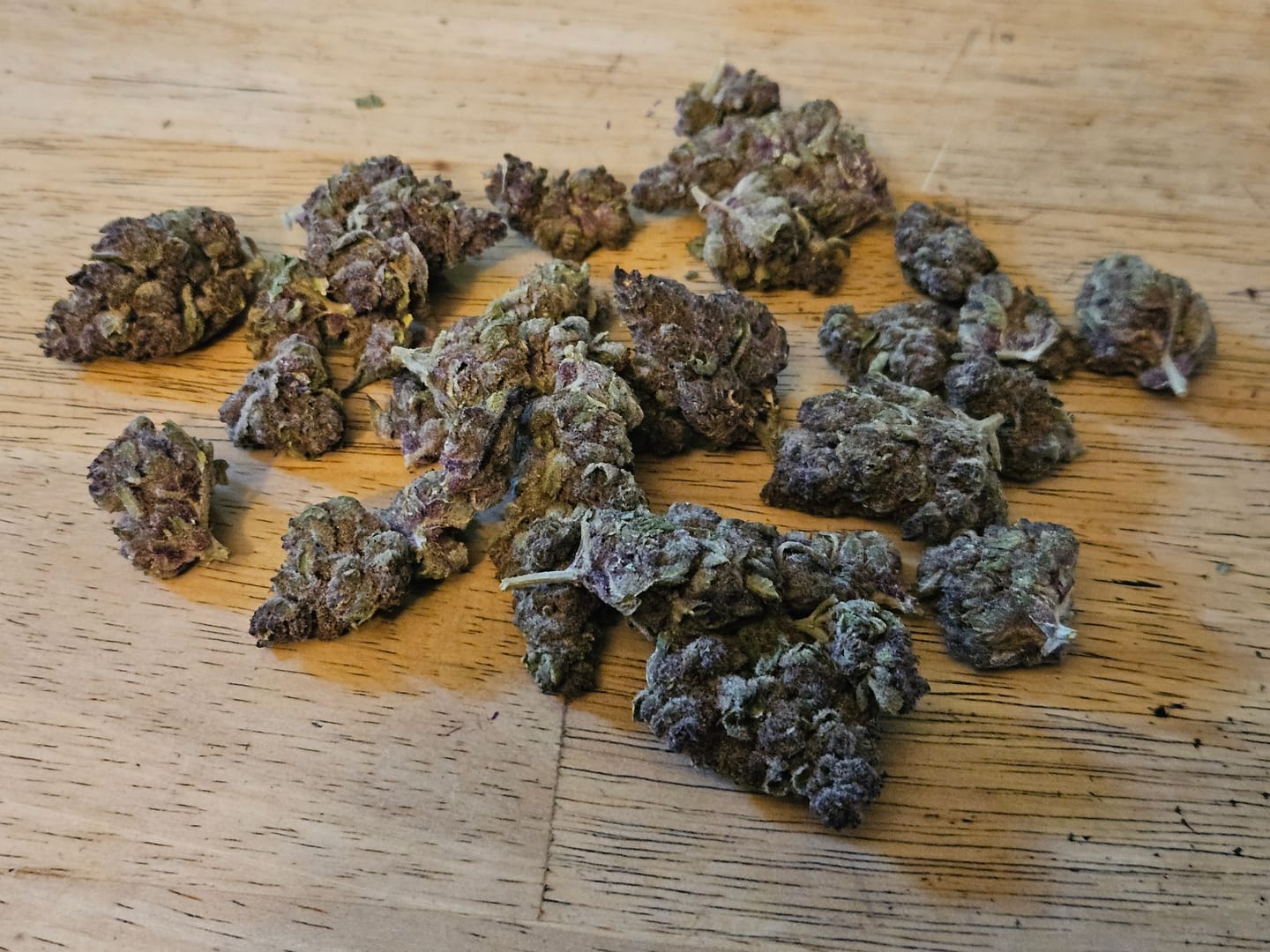 Customer photo review of Granddaddy Purple - 14 Grams - Indica