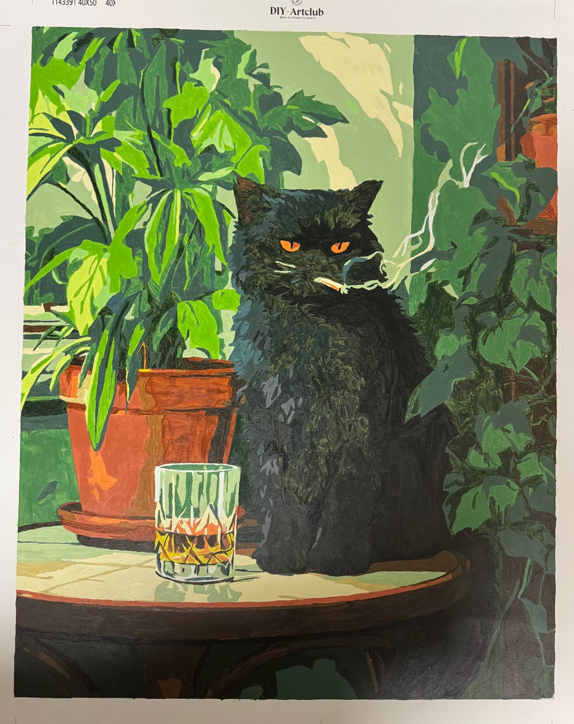 Customer photo review of Grumpy cat | Paint by Number