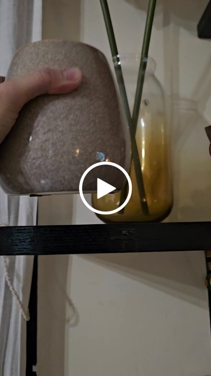 Customer video review of Cactus Decor  Fa-D1825C