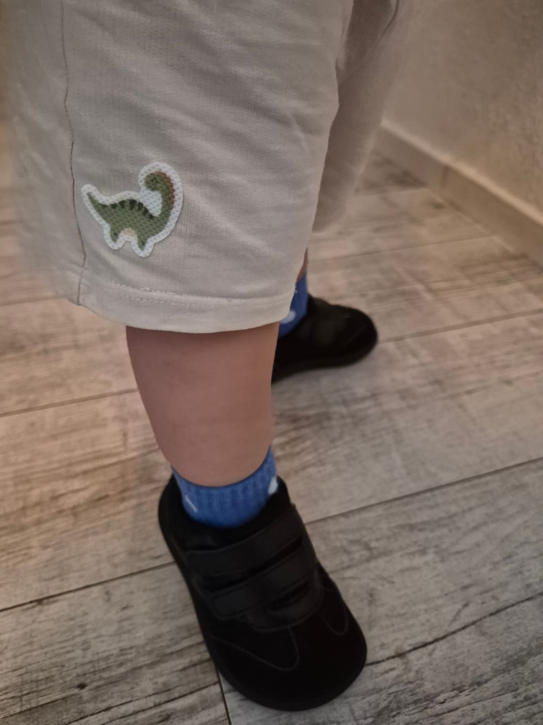 Customer photo review of pieksmichnicht DINO Edition