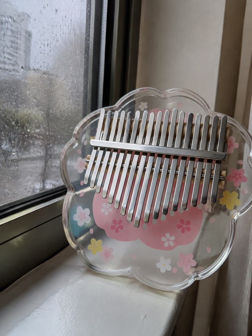 Customer photo review of Kalimba 17 Tasten - Acryl, Design-Edition