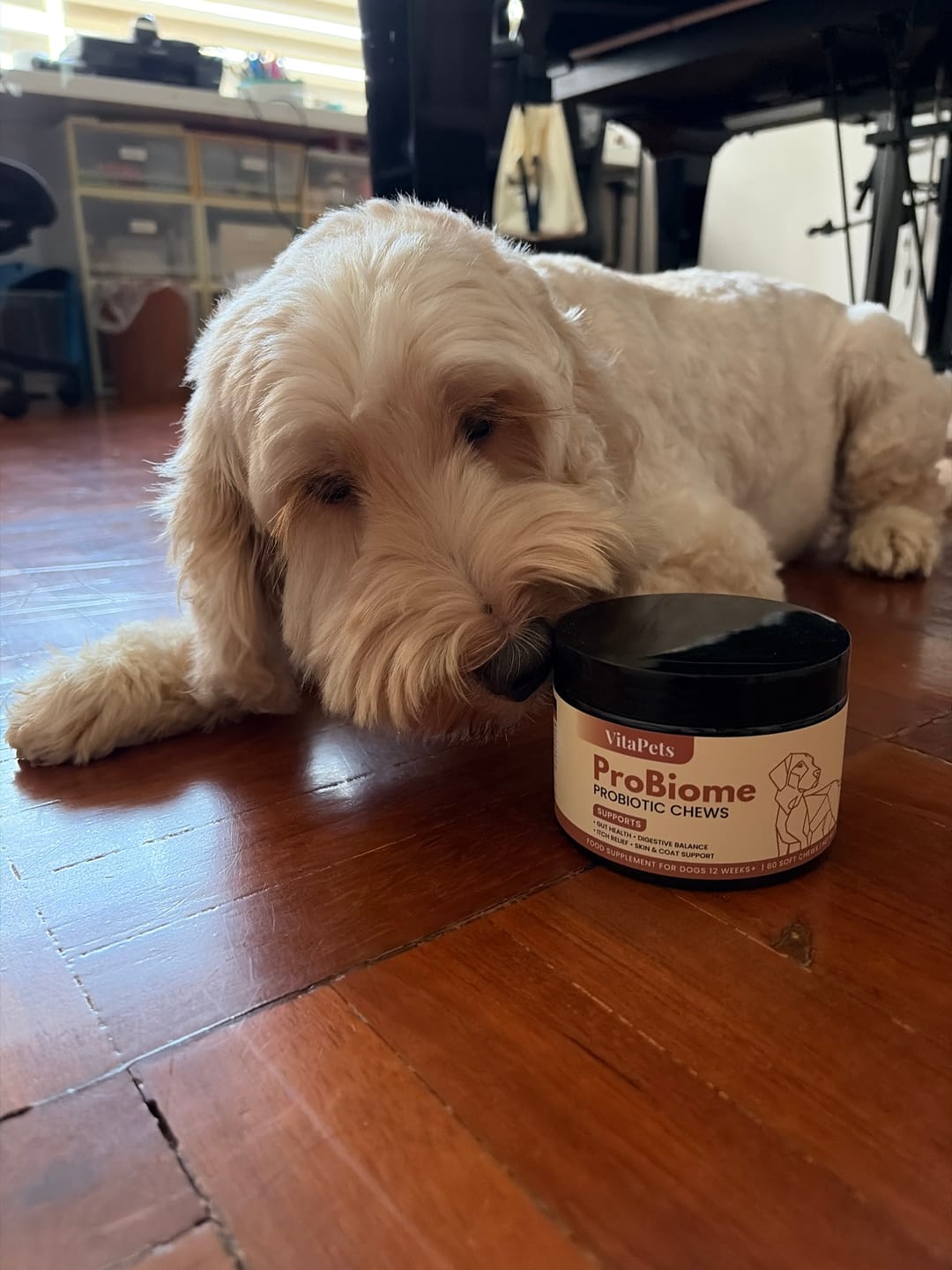 Customer photo review of ProBiome™狗狗益生菌軟粒