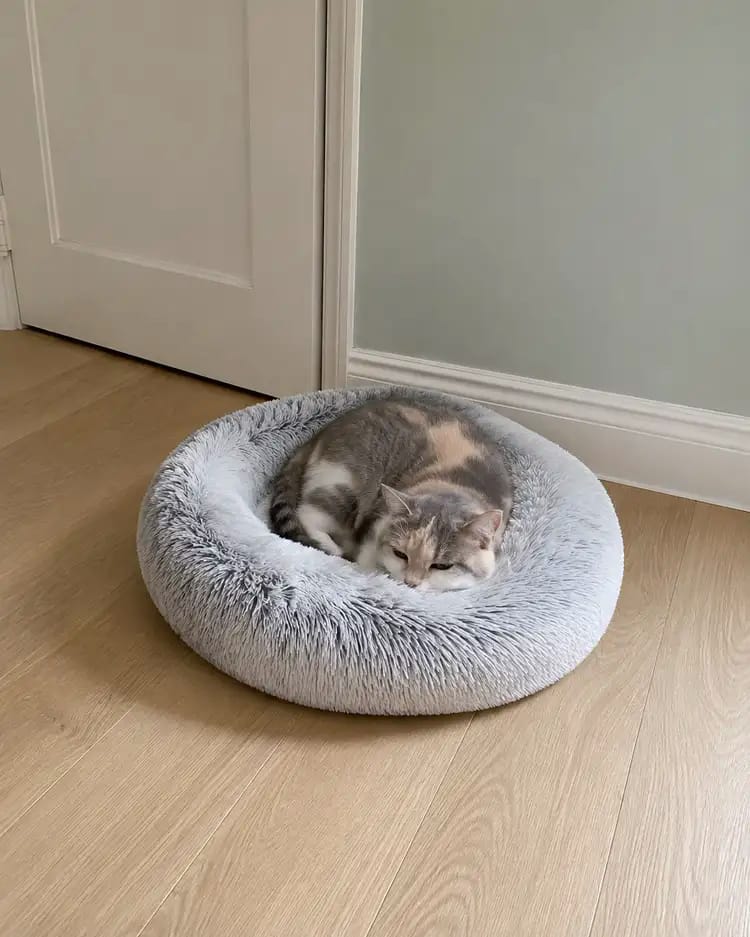 Customer photo review of SnuggleSoft Orthopedic Calming Pet Bed