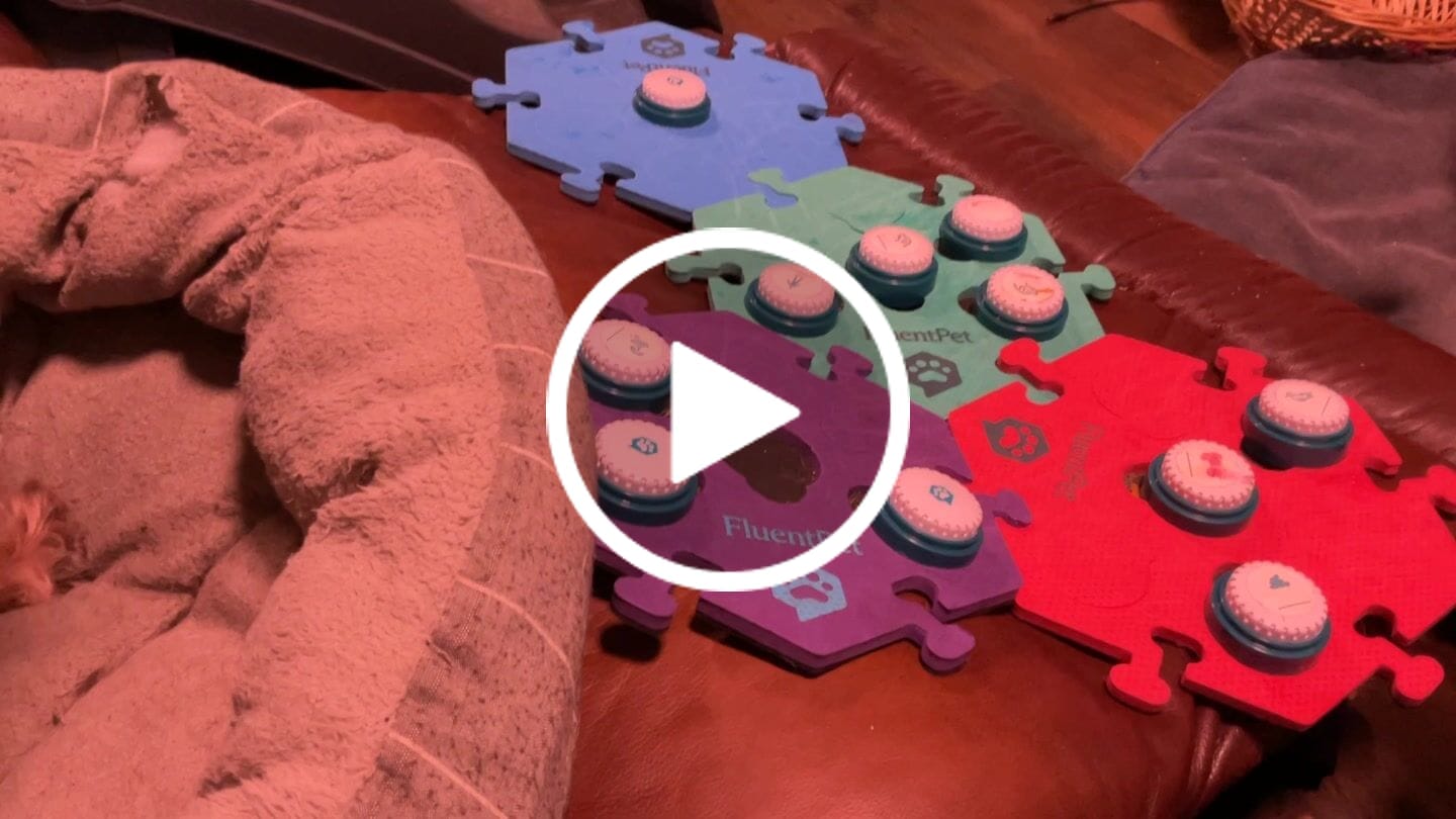 Customer video review of HexTile - 8"