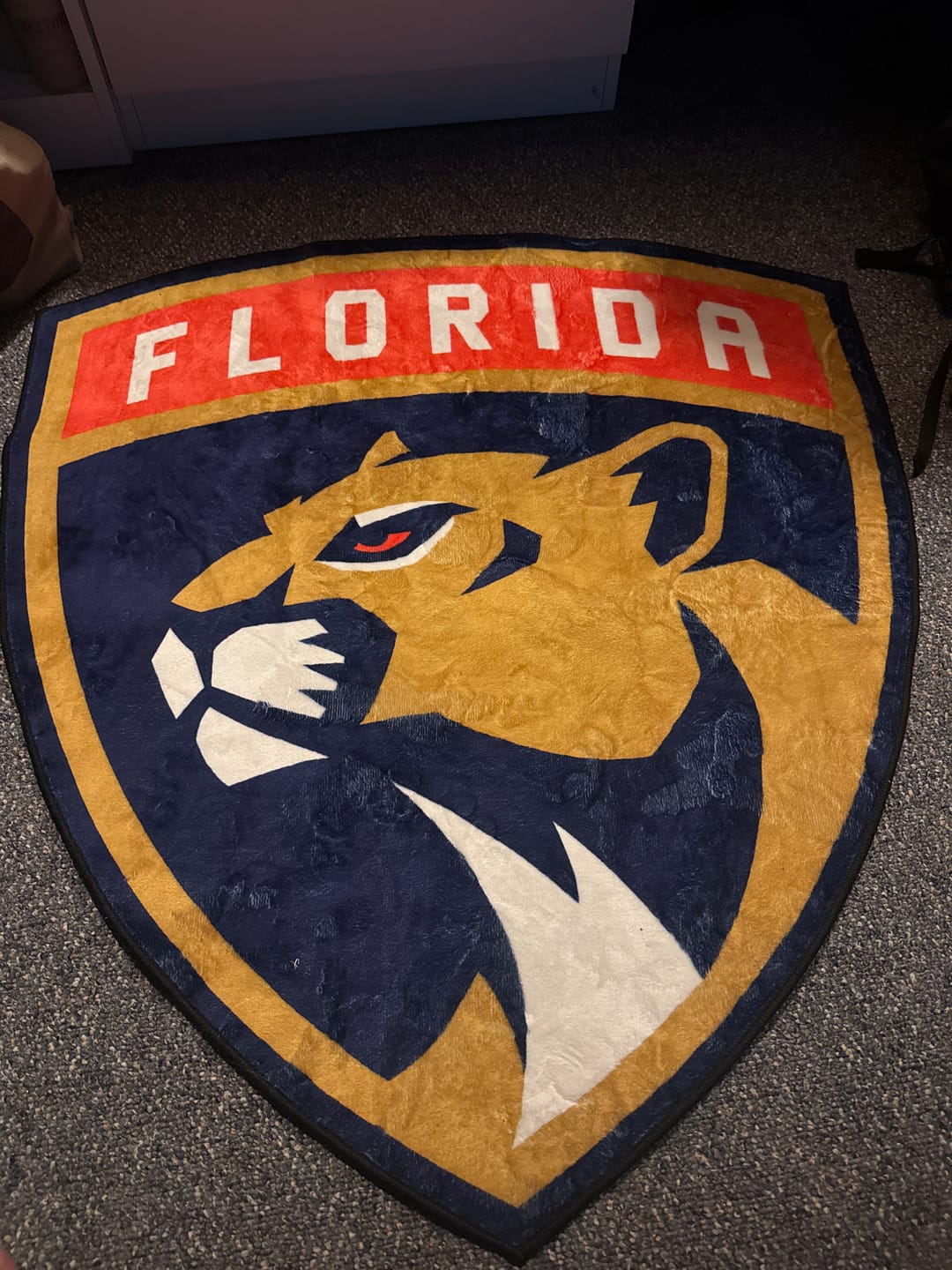 Customer photo review of Florida Panthers Logo Rug