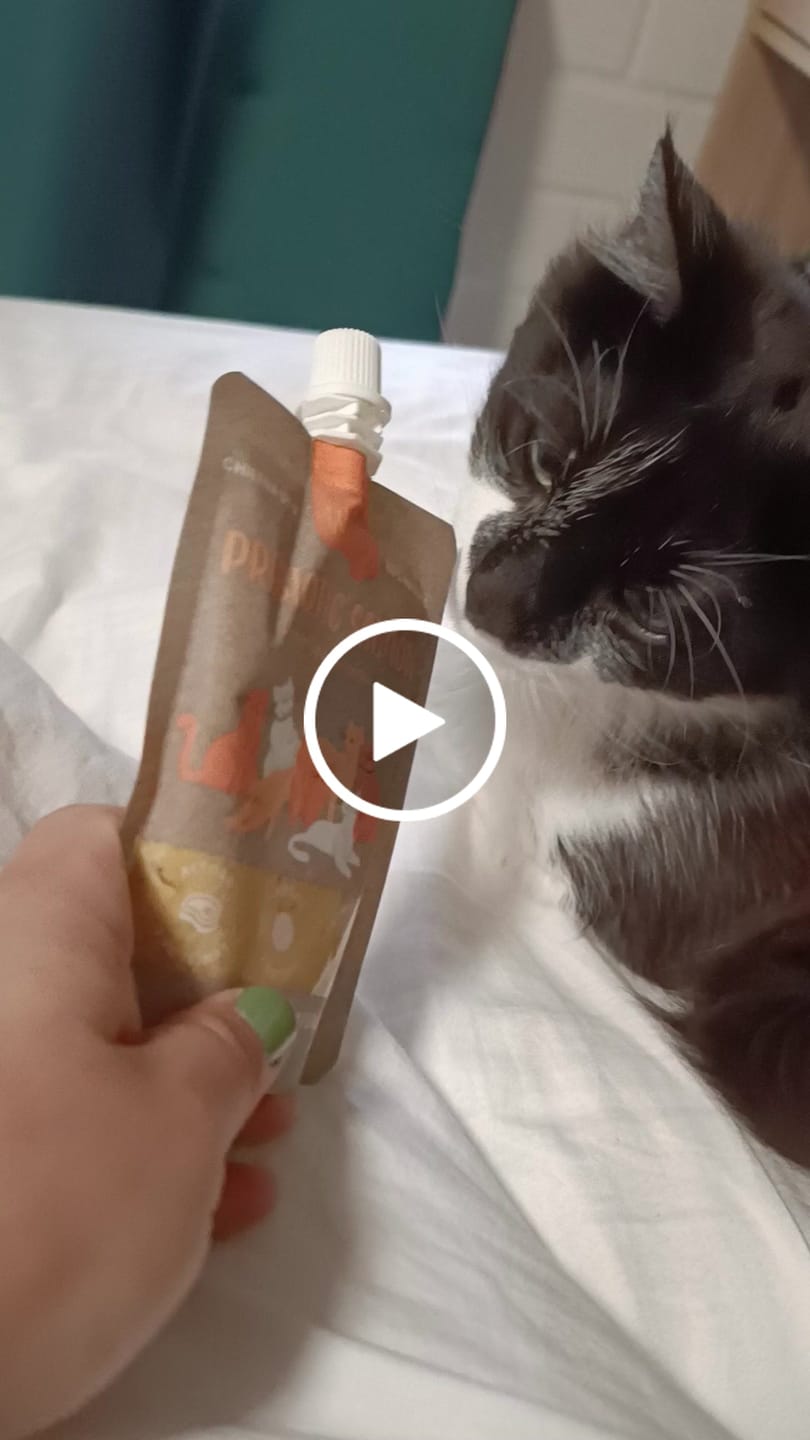 Customer video review of Prebiotic Salmon Gatos