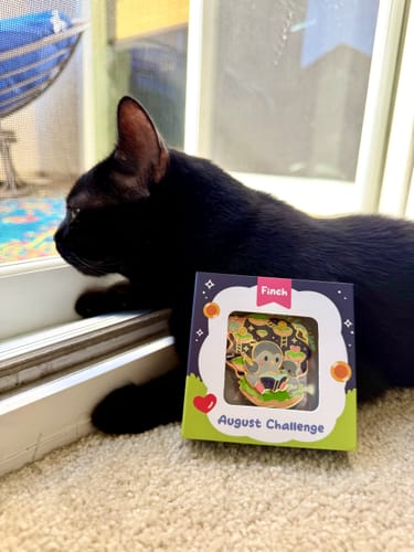 Customer's Birb's Eye View Pin in branded box, placed next to a black cat looking out a window.