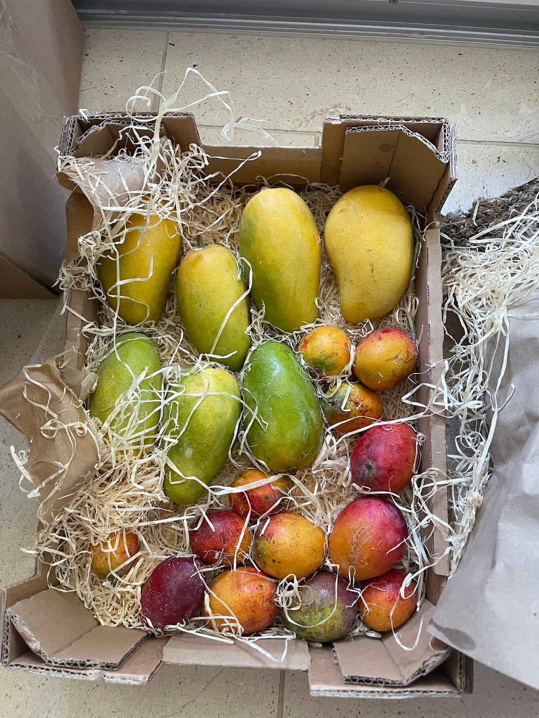 Customer photo review of Baby-Mango Irwin Bio von Julian