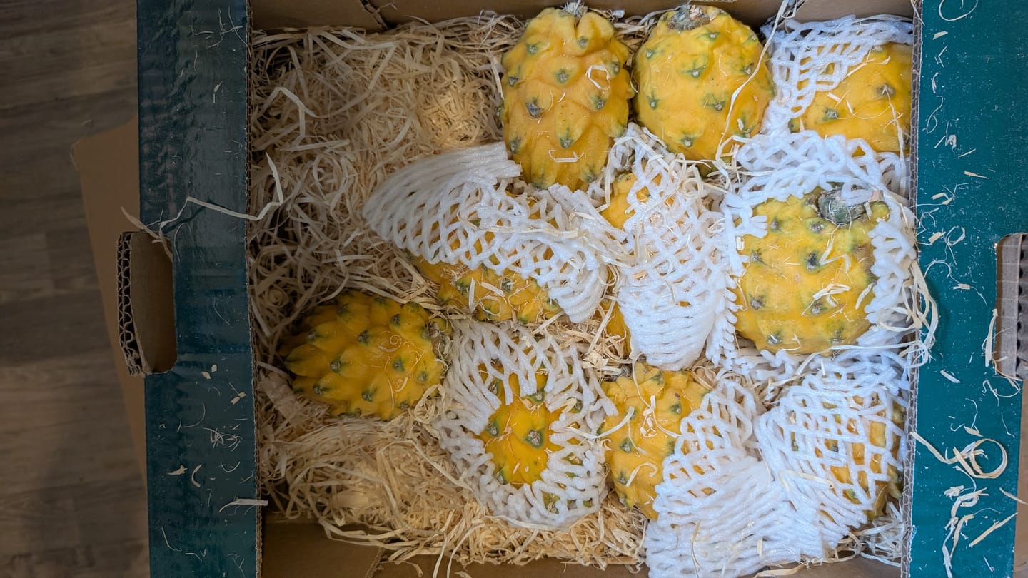 Customer photo review of Goldene Drachenfrucht Sonderaktion % 2kg