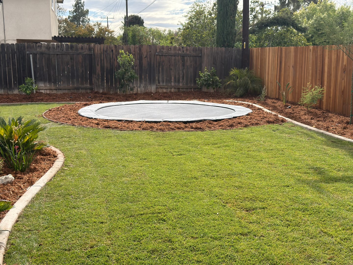 Customer photo review of 15' Round Pro-Line Avyna In-ground Trampoline