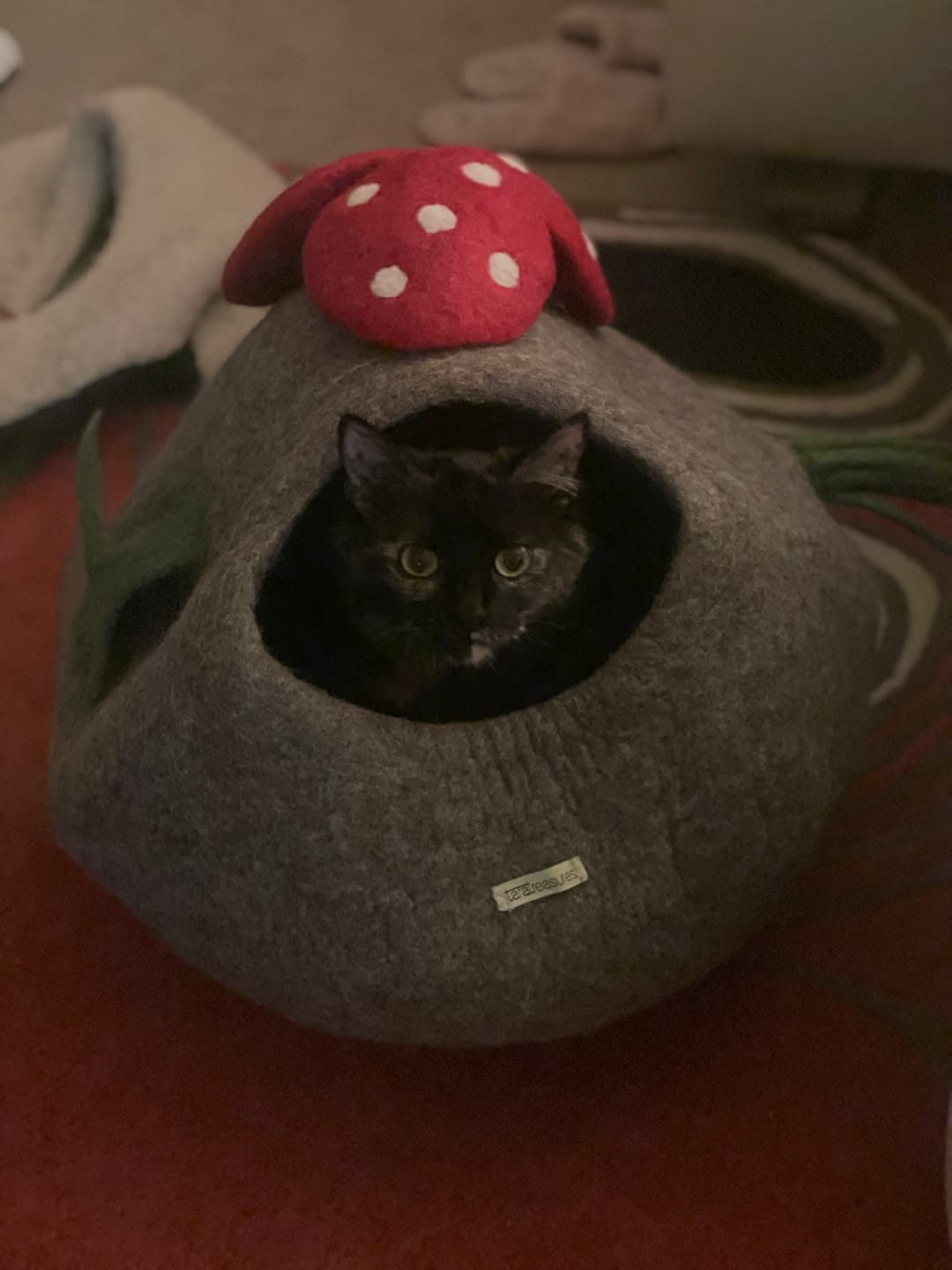 Customer photo review of Toadstool Cat Cave with Mouse Toy