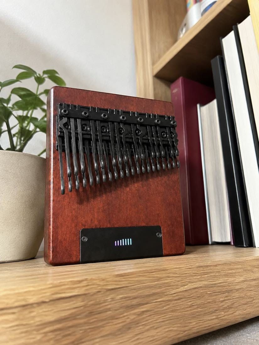 Customer photo review of Kalimba 36 Tasten - mit Tonabnehmer