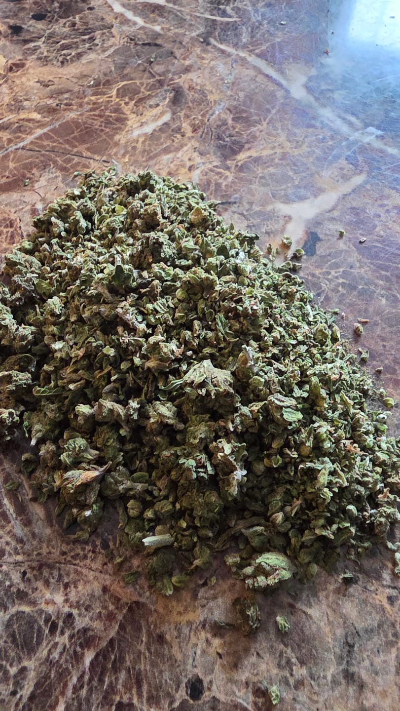 Customer photo review of GMO Minis - Bulk Minis - Indica