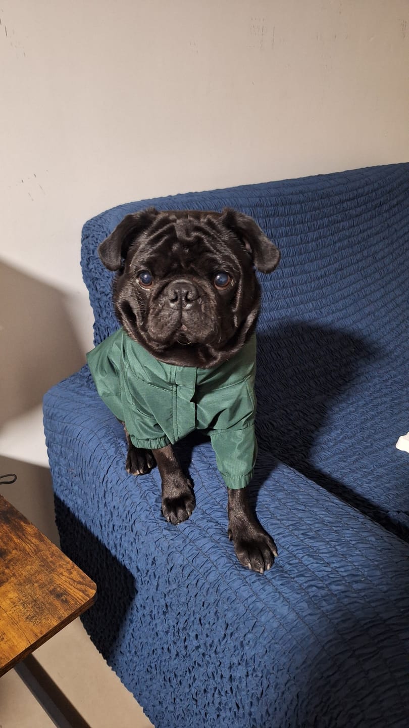 Customer photo review of Chaqueta Impermeable de Lluvia - Verde