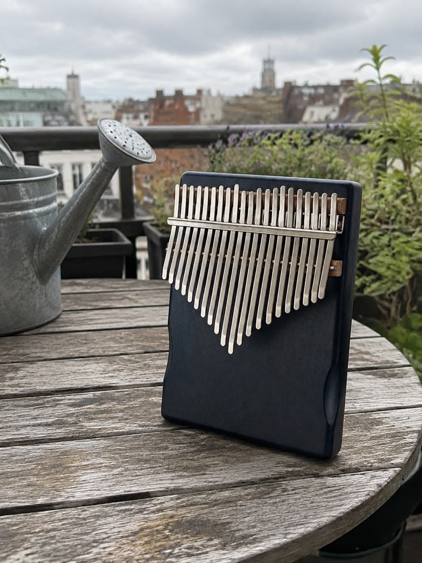 Customer photo review of Kalimba 21 Tasten - Mahagoni Standard
