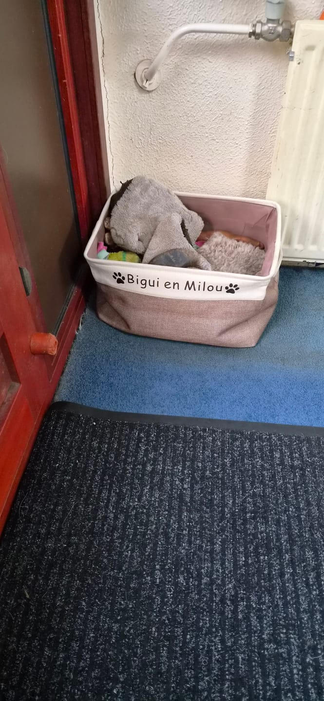 Customer photo review of Tidybox - Gepersonaliseerde Opbergbox Hondenspeelgoed