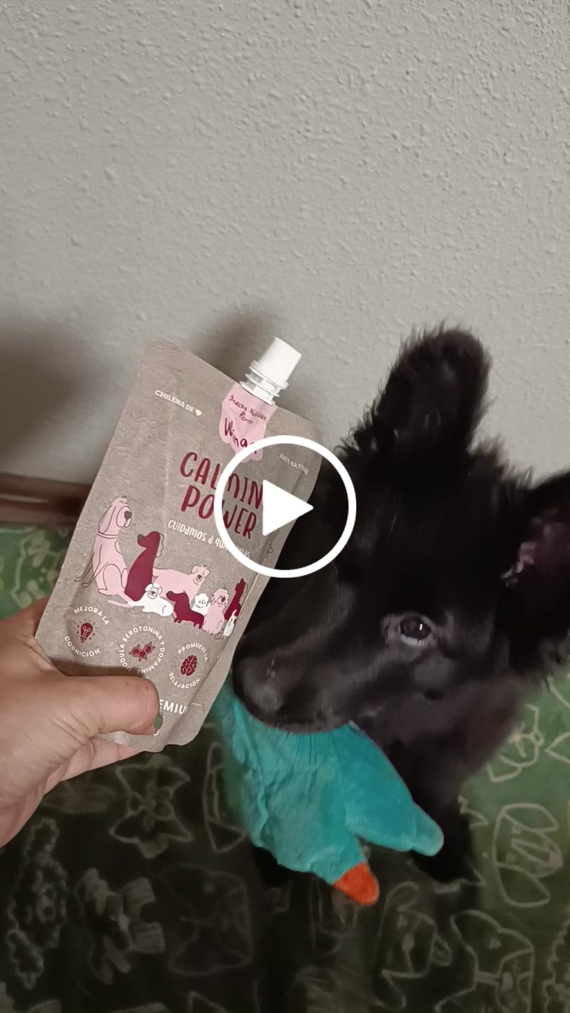 Customer video review of Calming Power
