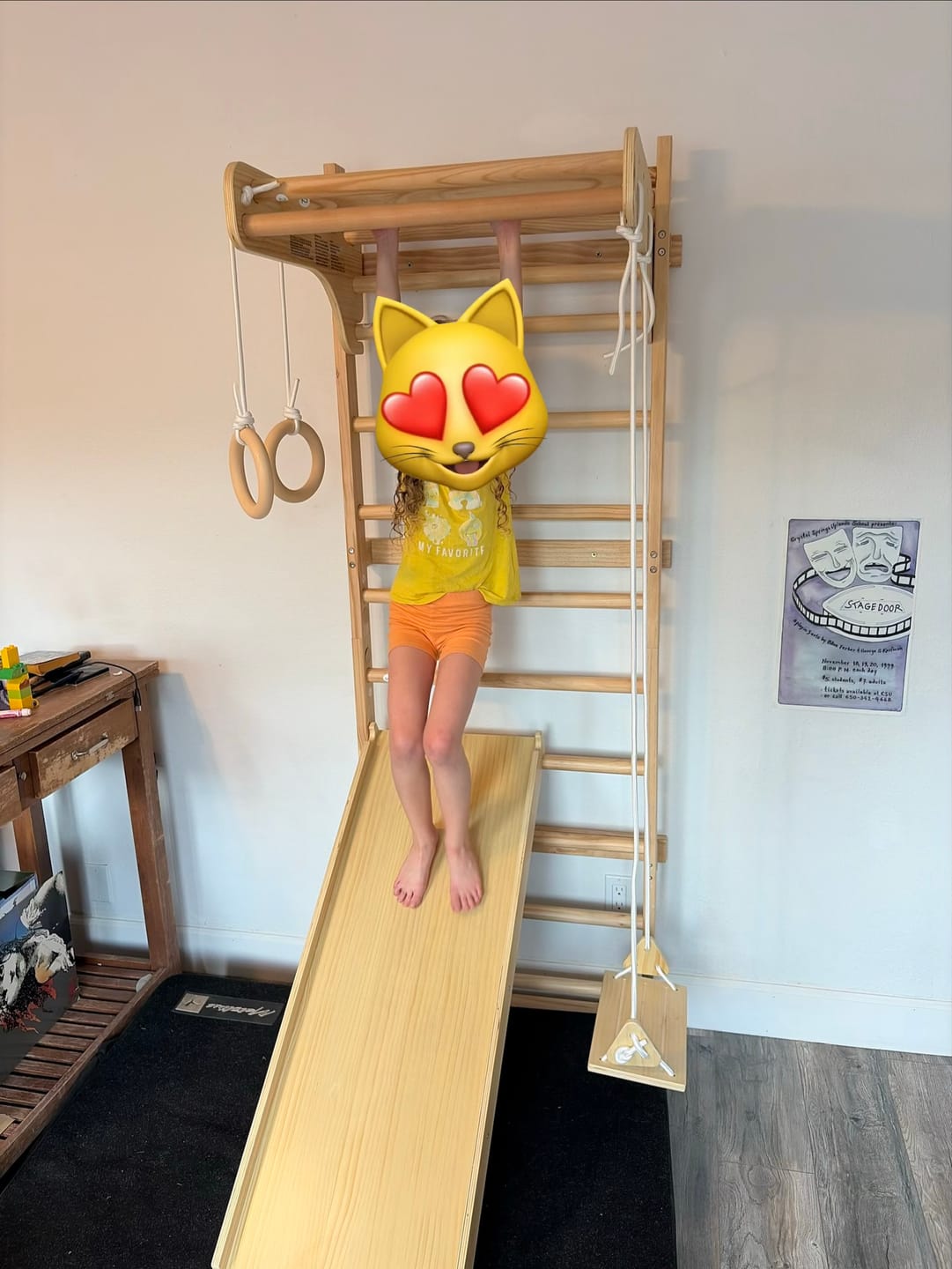 Customer photo review of Betula | Swedish Wall Ladder
