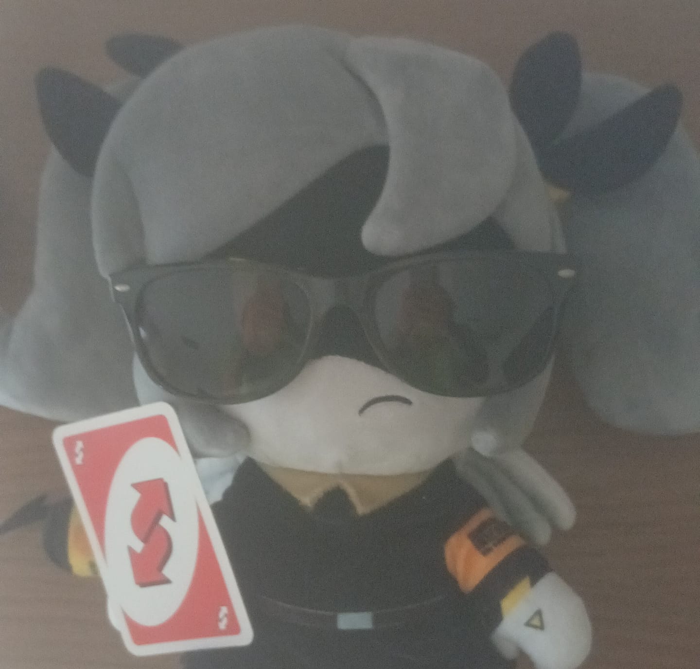Customer photo review of J Plush