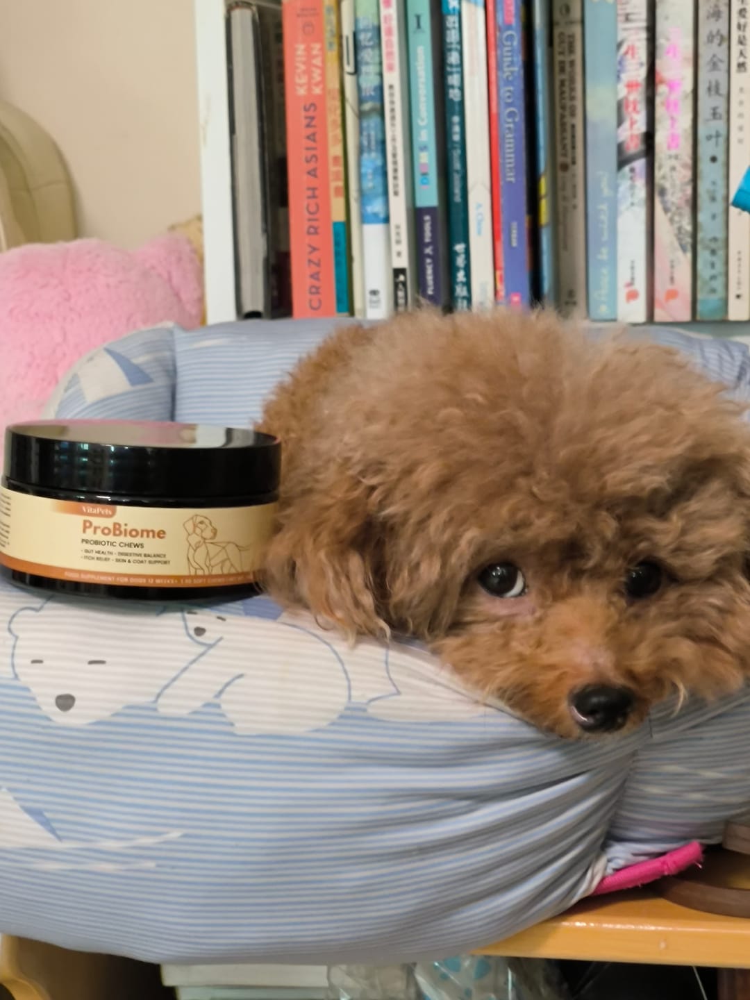 Customer photo review of ProBiome™狗狗益生菌軟粒