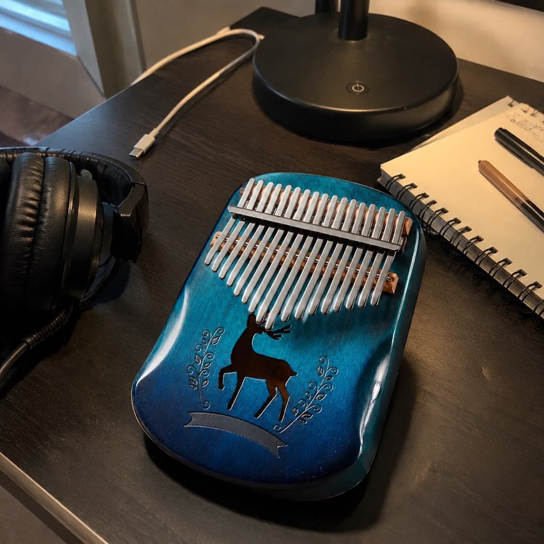 Customer photo review of Kalimba 17 Tasten - Mahagoni, Blau